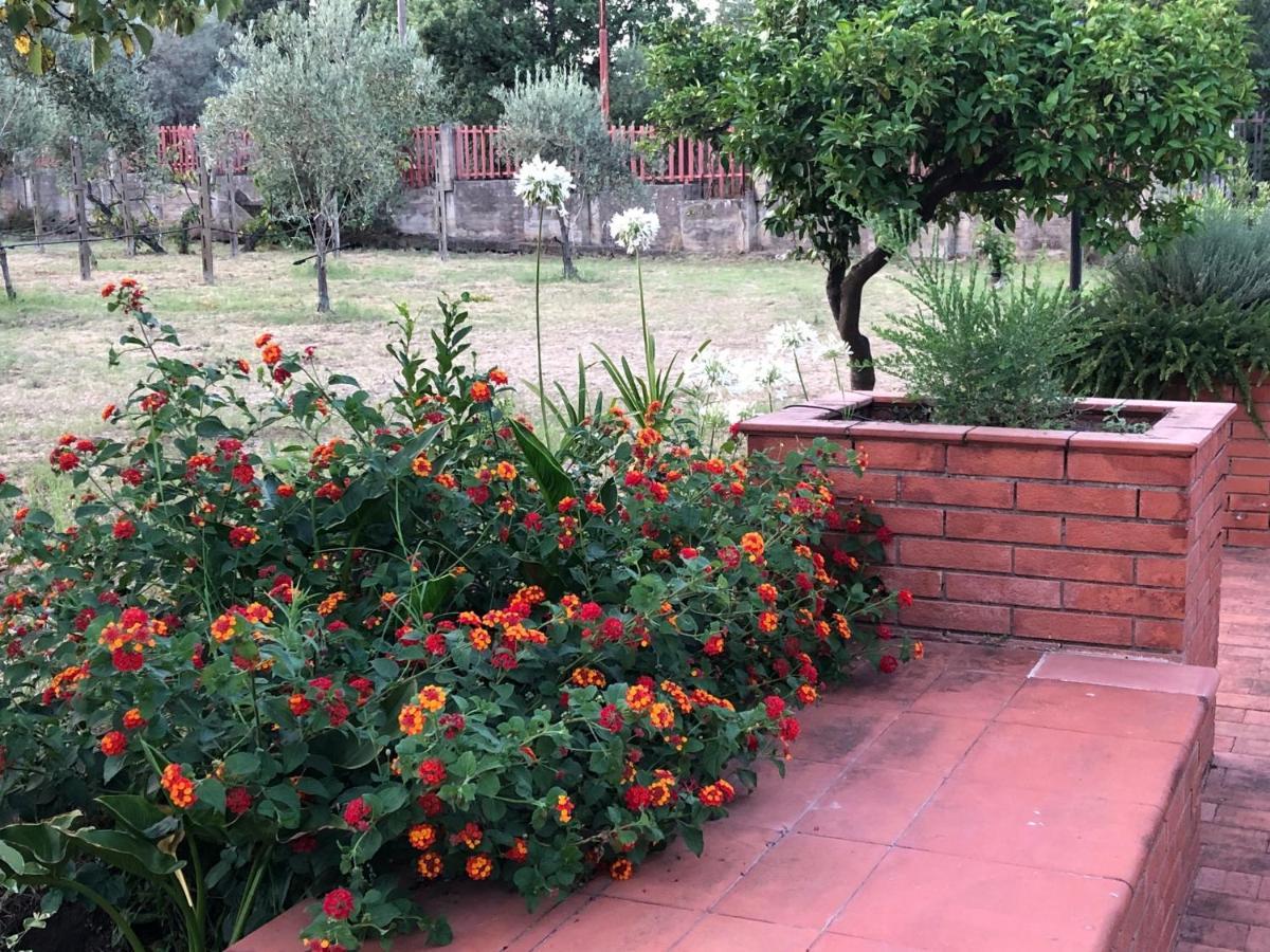 Villa Carolea Acireale Ngoại thất bức ảnh